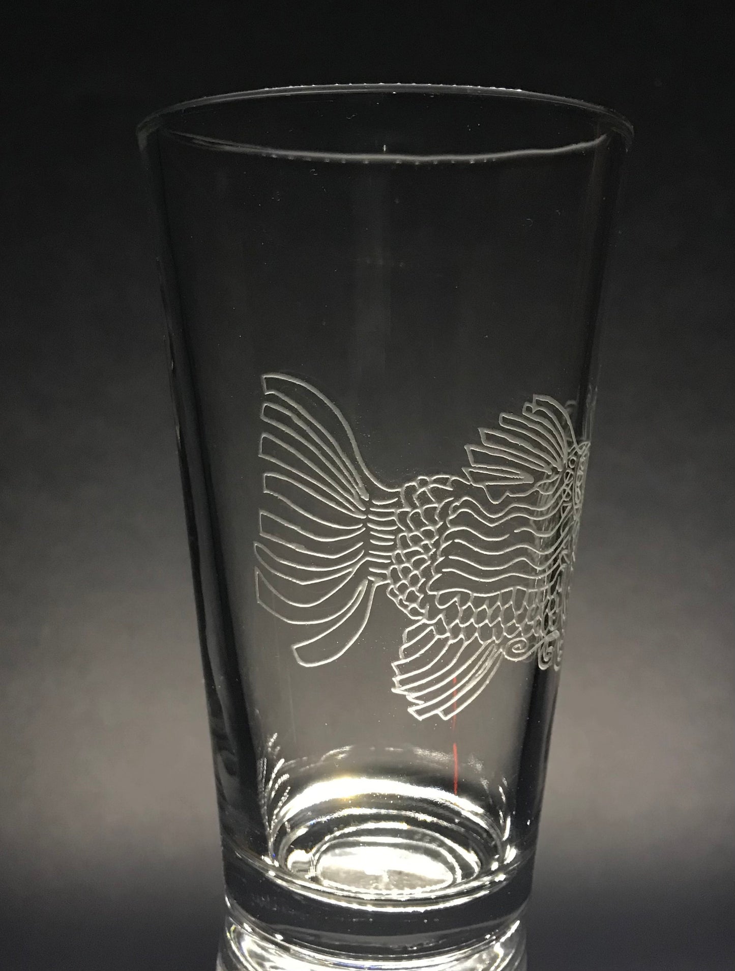 Jerry Garcia's ~Fish~ Sandblasted Glasses