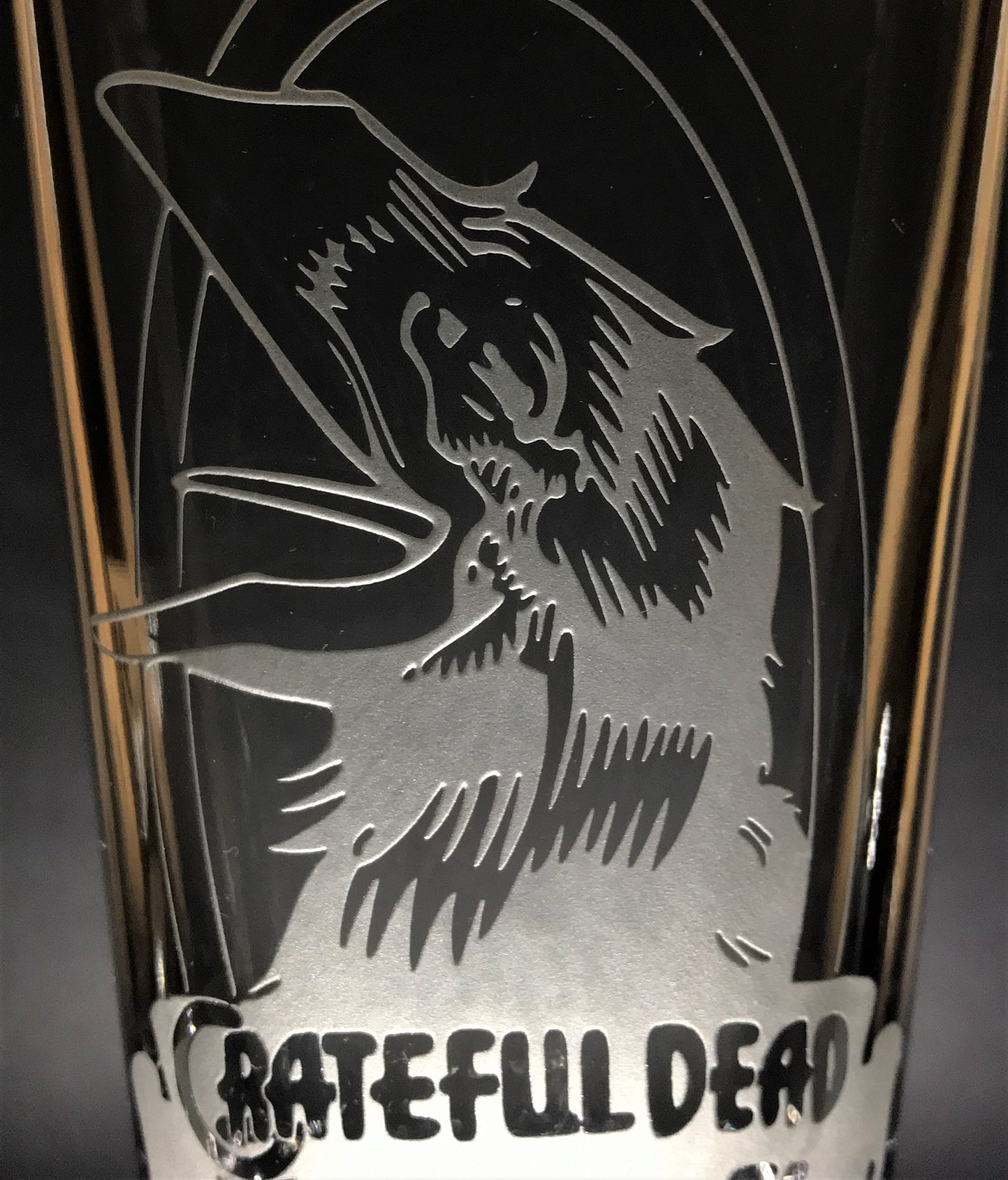The Raven~ Sandblasted Glasses