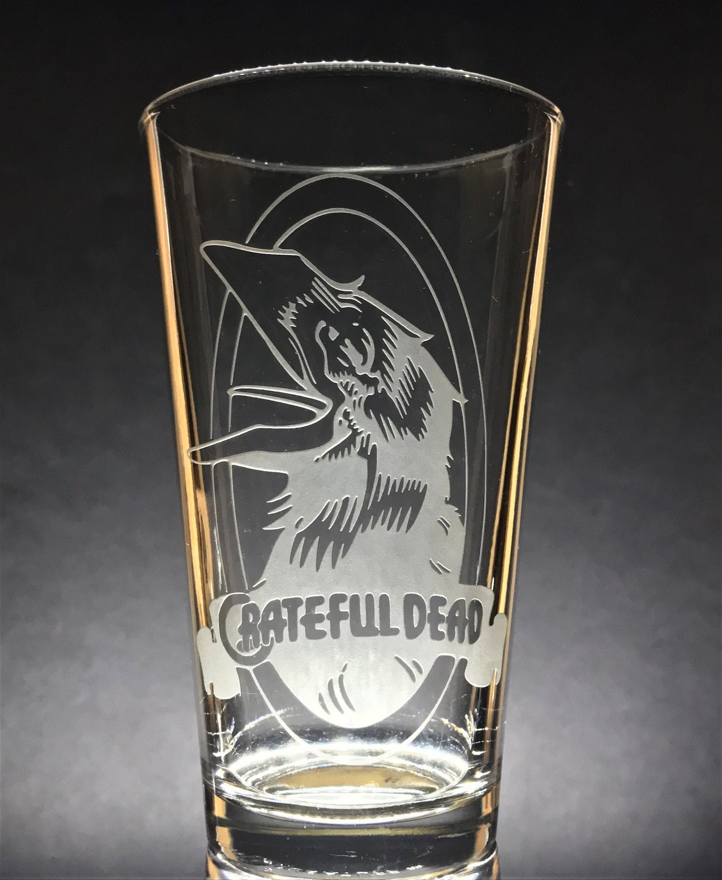 The Raven~ Sandblasted Glasses