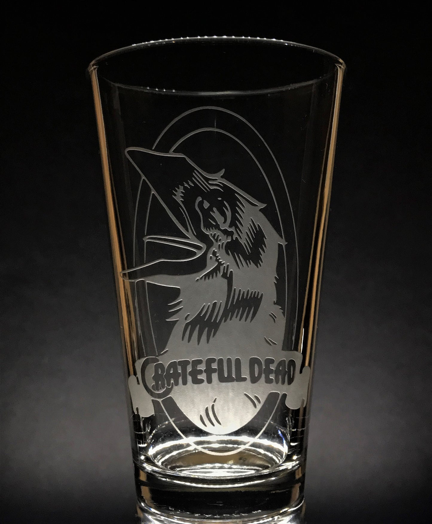The Raven~ Sandblasted Glasses