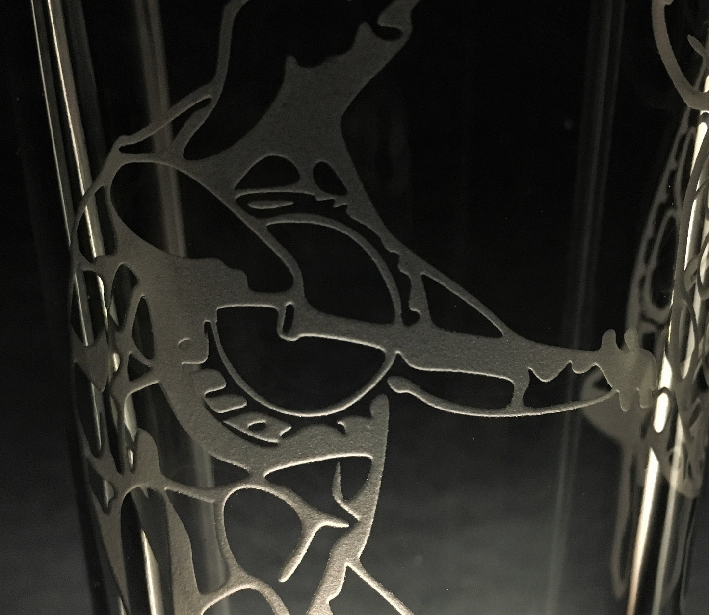 Sandblasted Grateful Dead Terrapin Glasses