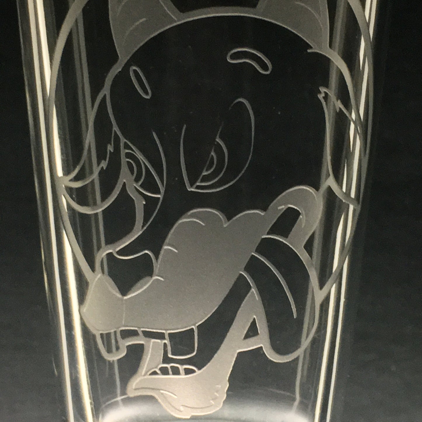 Billy Strings "Mire Wolf" Sandblasted Glasses