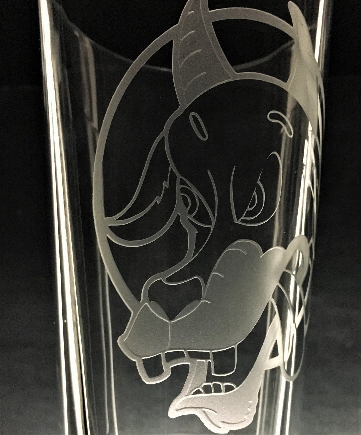 Billy Strings "Mire Wolf" Sandblasted Glasses