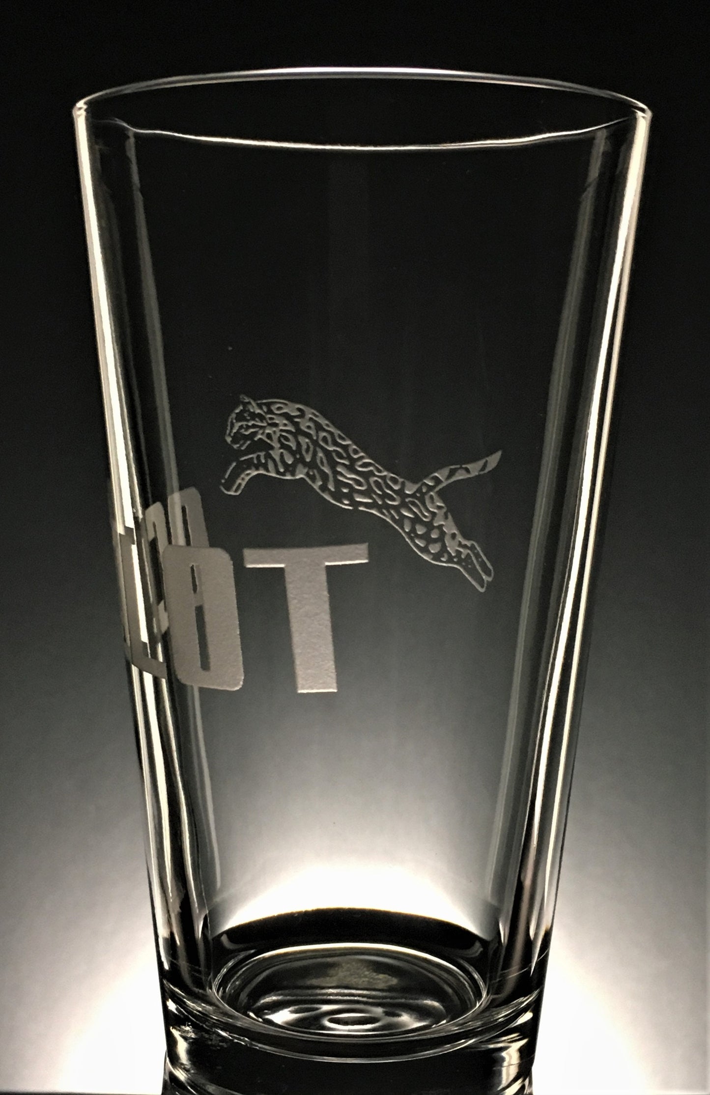 Phish Ocelot Sandblasted Glasses