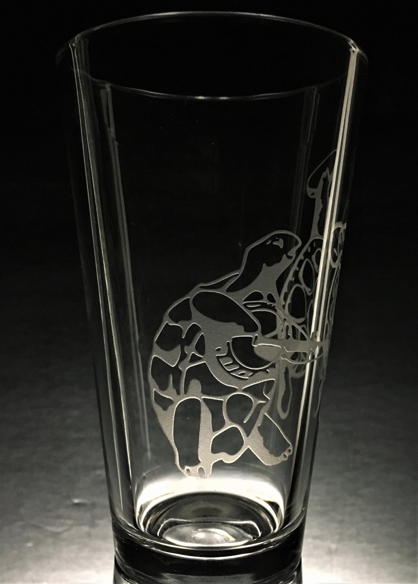 Sandblasted Grateful Dead Terrapin Glasses