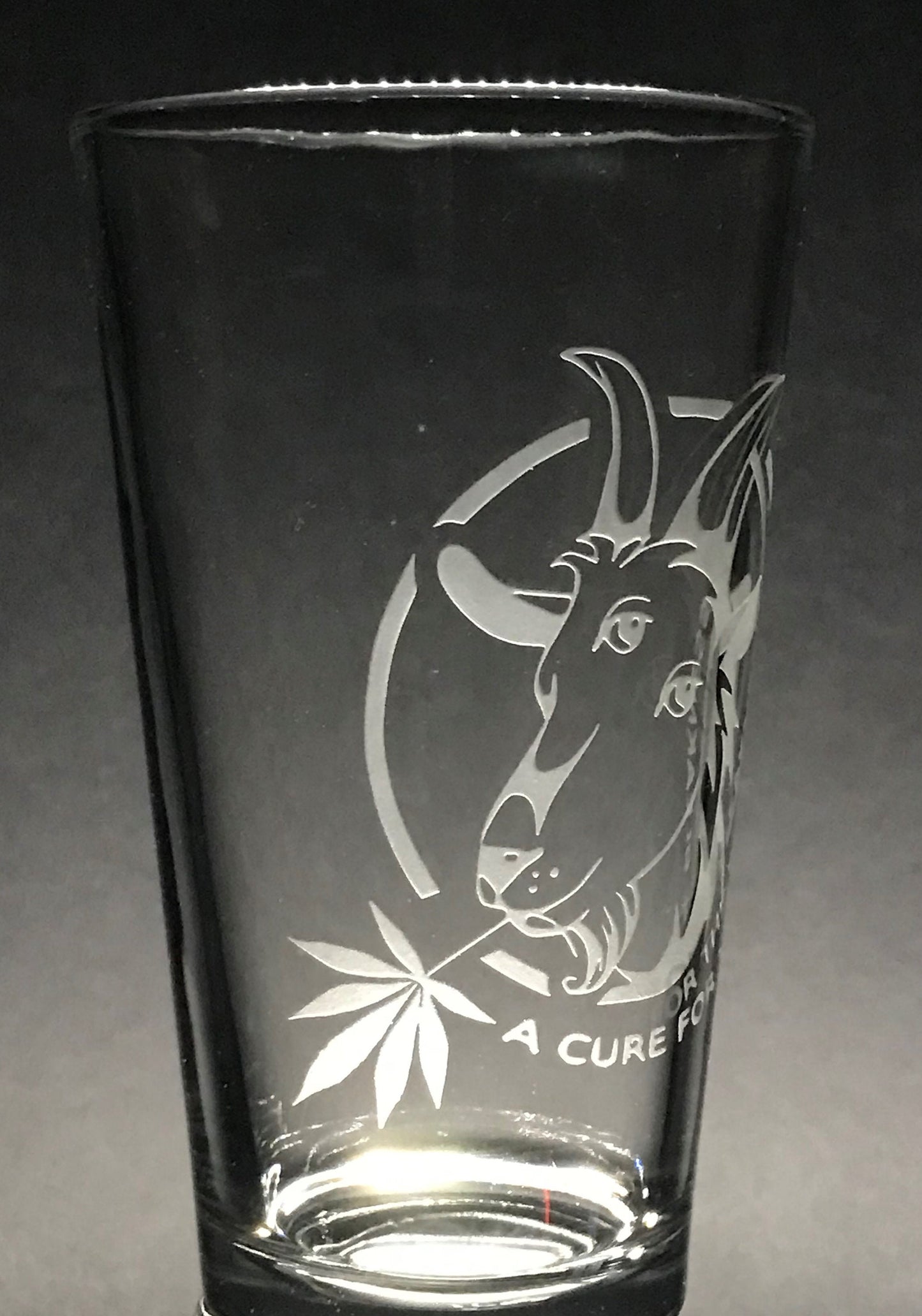 Billy Strings "Cure for the Bleakness" Sandblasted Glasses