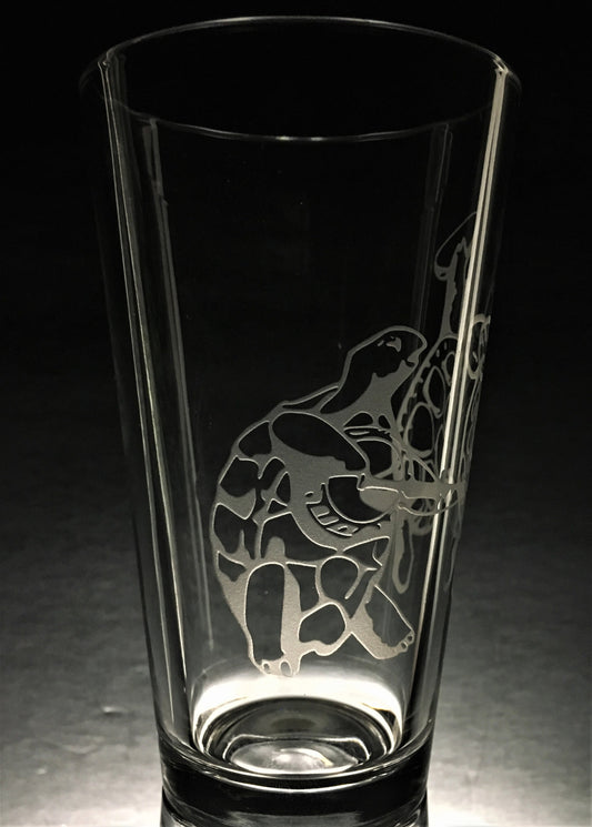Sandblasted Grateful Dead Terrapin Glasses