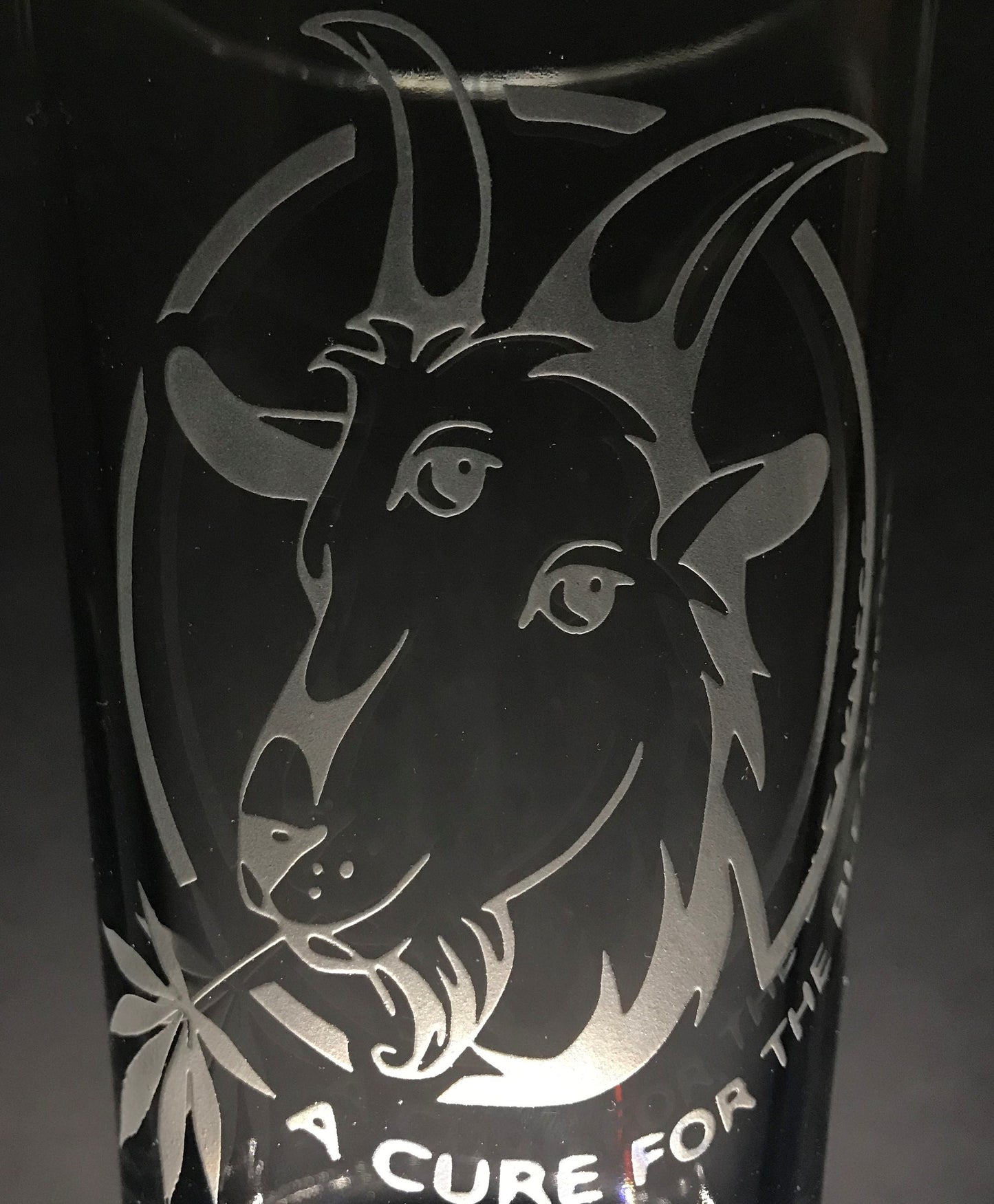 Billy Strings "Cure for the Bleakness" Sandblasted Glasses